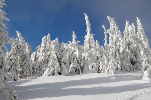 Mönichwalderhof, Winteridylle, Winterurlaub Oststeiermark, verschneite Landschaften, ruhiger Winterurlaub, Pauschale Winteridylle, Winterwandern Steiermark, Wellness im Winter, Winterzauber Joglland, romantischer Winterurlaub, Erholung im Schnee, Schneelandschaft Steiermark, Hotel mit Winterangebot, Wintergenuss, gemütlicher Winterurlaub, Oststeiermark erleben, Schneespaziergang, Wohlfühltage im Winter