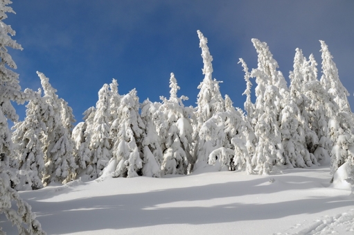 Winter, Winteruralub, Uralub im Winter, Urlaub in der Steiermark, Urlaub im Joglland, Pasuchalangebote im Winter, Winterangebote, Urlaub mit der Familie, Skifahren, Langlaufen, Winterwadnern, Schneeschuwandern