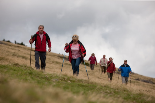 Mönichwalderhof, Wandertage, Wanderurlaub, Wandern Oststeiermark, Pauschalangebot, Natururlaub, Wandern im Joglland, Wanderregion Steiermark, Wandertouren, Aktivurlaub, Urlaub in den Bergen, Hotel mit Wanderangebot, Wandergenuss, Wanderwege Steiermark, Erholung beim Wandern, Urlaub für Naturliebhaber, Bergwandern, Sommerurlaub, Hotel für Wanderer
