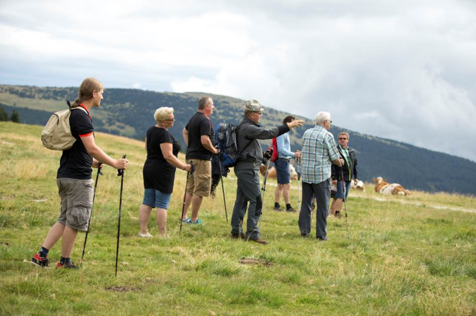 Mönichwalderhof, Wanderrouten, Naturgenuss, Oststeiermark, Wanderurlaub, persönliche Wanderung, Natur erleben, Wandern Steiermark, Rundwanderwege, Wandertipps, Genusswandern, Wanderhotel, Hochwechsel, Aktivurlaub, ruhige Wanderwege, Naturparadies, Wandern mit Aussicht, individuelle Touren, Wandern Österreich, Hotel mit Wanderrouten