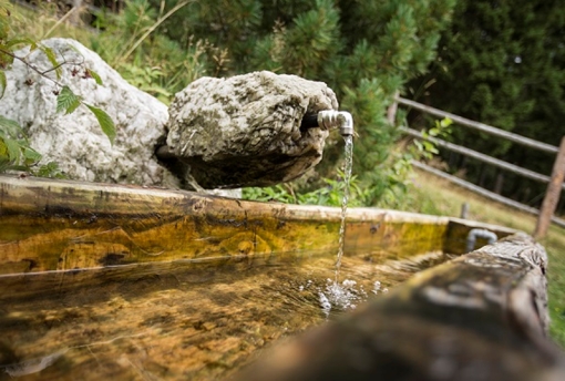 Mönichwalderhof, Wanderrouten, Naturgenuss, Oststeiermark, Wanderurlaub, persönliche Wanderung, Natur erleben, Wandern Steiermark, Rundwanderwege, Wandertipps, Genusswandern, Wanderhotel, Hochwechsel, Aktivurlaub, ruhige Wanderwege, Naturparadies, Wandern mit Aussicht, individuelle Touren, Wandern Österreich, Hotel mit Wanderrouten
