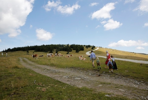 Mönichwalderhof, Wanderrouten, Naturgenuss, Oststeiermark, Wanderurlaub, persönliche Wanderung, Natur erleben, Wandern Steiermark, Rundwanderwege, Wandertipps, Genusswandern, Wanderhotel, Hochwechsel, Aktivurlaub, ruhige Wanderwege, Naturparadies, Wandern mit Aussicht, individuelle Touren, Wandern Österreich, Hotel mit Wanderrouten