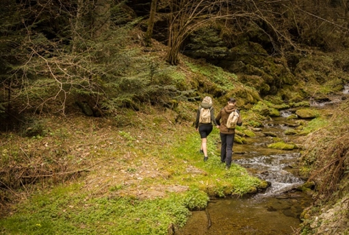 Wanderrouten, Natur, wandern, mönichwald, joglland, leichte Wadnderwege, Schwieriege Wanderwege, wanderwege geeignet für Kinder, 