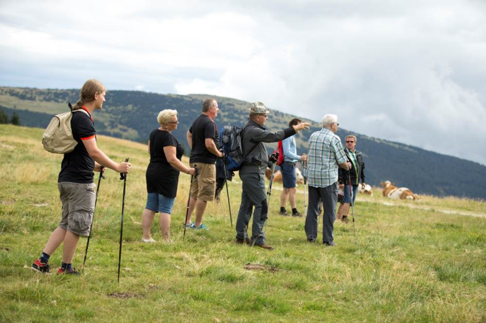 Wanderrouten, Natur, wandern, mönichwald, joglland, leichte Wadnderwege, Schwieriege Wanderwege, wanderwege geeignet für Kinder, 