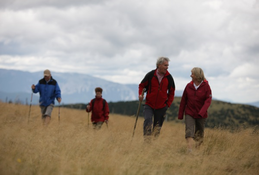 Wanderrouten, Natur, wandern, mönichwald, joglland, leichte Wadnderwege, Schwieriege Wanderwege, wanderwege geeignet für Kinder, 