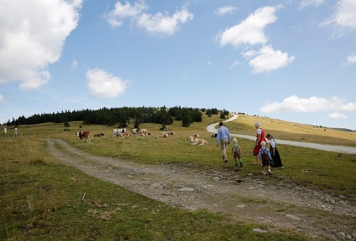 Wanderrouten, Natur, wandern, mönichwald, joglland, leichte Wadnderwege, Schwieriege Wanderwege, wanderwege geeignet für Kinder, 