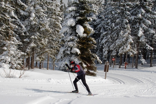 Mönichwalderhof, Langlauftage, Langlaufen Oststeiermark, Langlaufurlaub Steiermark, Winterurlaub Joglland, Langlaufparadies, gespurte Loipen, Langlaufen im Joglland, Pauschale Langlaufen, Langlaufregion Steiermark, Hotel direkt an der Loipe, Wintersport Steiermark, nordischer Skisport, Winteraktivitäten, Schneegenuss, aktiver Winterurlaub, Langlaufgenuss, Langlaufurlaub mit Komfort, Loipe Mönichwald