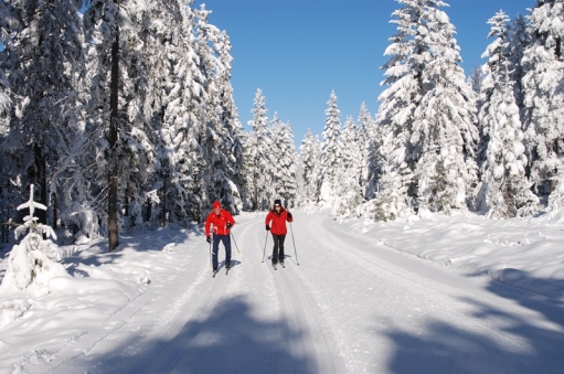 Winter, Winteruralub, Uralub im Winter, Urlaub in der Steiermark, Urlaub im Joglland, Pasuchalangebote im Winter, Winterangebote, Urlaub mit der Familie, Skifahren, Langlaufen, Winterwadnern, Schneeschuwandern