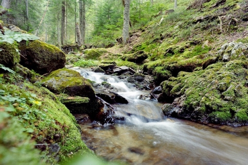 Herbsturlaub, Urlaub in der Steiermark, Urlaub in der oststeiermark, Urlaub im Herbst, Urlaub mit der fAMilie, Wadneruralub, Radfahrurlaub