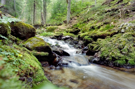 Wellnessangebote Mönichwalderhof, Urlaub Steiermark, Hotel mit Spa, Erholungsangebote Hotel, Aktivurlaub Steiermark, Romantische Wochenenden Steiermark, Wellnesshotel Österreich, Entspannungspakete Hotel, Familienurlaub Mönichwalderhof, Sommerangebote Hotel Steiermark