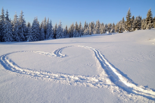 Wellnessangebote Mönichwalderhof, Urlaub Steiermark, Hotel mit Spa, Erholungsangebote Hotel, Aktivurlaub Steiermark, Romantische Wochenenden Steiermark, Wellnesshotel Österreich, Entspannungspakete Hotel, Familienurlaub Mönichwalderhof, Sommerangebote Hotel Steiermark