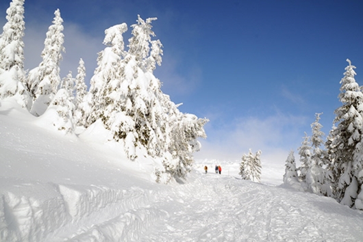 Winter Urlaub Oststeiermark, Pauschalen im Winter, Angebote im Winter, Herbstangebote, Pauschalen im Herbst, Angebote im Joglland, ANgebote in der Oststeiermark, Angebote in Mönichwald