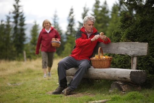 Mönichwalderhof, Wandern, Oststeiermark, Wanderurlaub, Wanderwege, Naturerlebnis, Alpenpanorama, Hochwechsel, Aktivurlaub, Urlaub in der Steiermark, Wandertipps, Wandern mit Aussicht, Bergwandern, Familienwanderung, Genusswandern, Wandern mit Hund, Rundwanderweg, Hotel in Wandernähe, Natur entdecken, Wandern Österreich