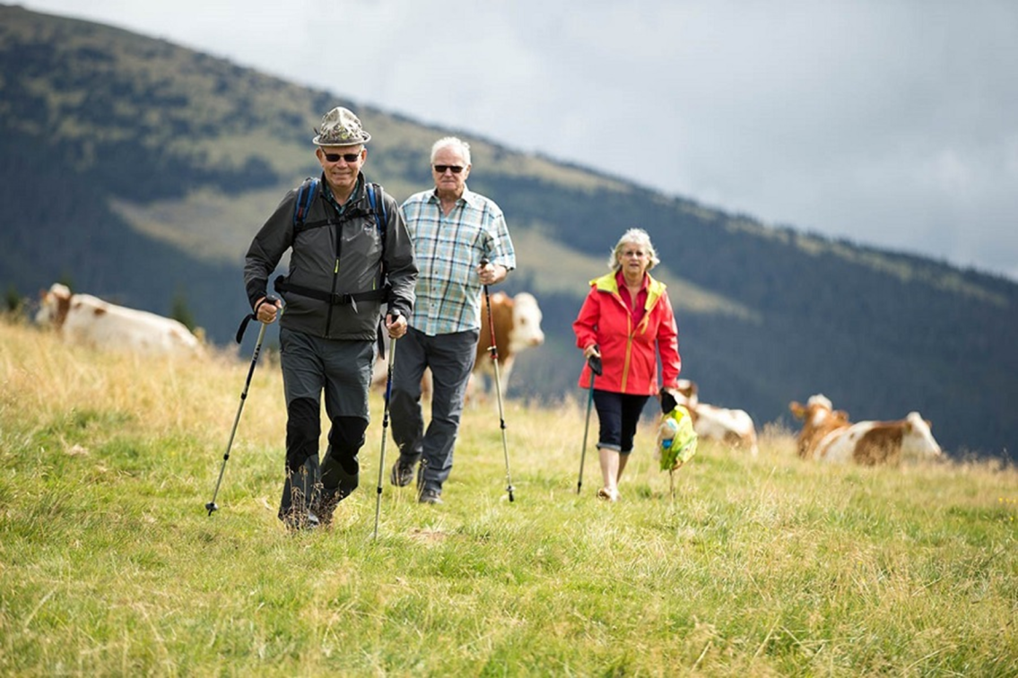 Wandern, wandertouren, Wanderführungen, hochwechsel, urlaub in der Steiermark, urlaub in der oststeiermark, joglland-waldheimat, joglland