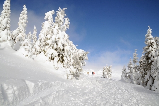 Mönichwalderhof, Joglland, Winteraktivitäten, verschneite Landschaft, Winterurlaub, Oststeiermark, Schneeschuhwandern, Langlaufen, Rodeln, Skifahren, Winterwandern, Winterspaß, Urlaub im Schnee, verschneites Joglland, Aktivurlaub im Winter, Winteridylle, Hotel im Winter, Schnee genießen, Winterzauber, Winter in der Steiermark