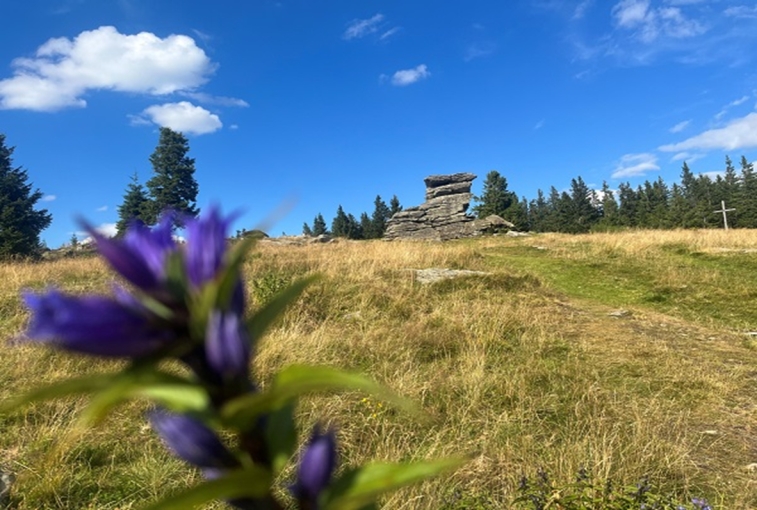 Mönichwalderhof, Ausflugsziele für Familien, Familienurlaub, Oststeiermark, Joglland, Ausflüge mit Kindern, Familienfreundlich, Freizeitaktivitäten, Kinderprogramm, Natur erleben, Urlaub mit Kindern, Ausflugstipps, Erlebnisziele Steiermark, Tierparks, Erlebnispfade, Familienausflüge, Urlaub in der Steiermark, Aktivitäten mit Kindern, Hotel für Familien, Familienabenteuer
