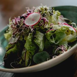 Frischer und knackiger Salat 