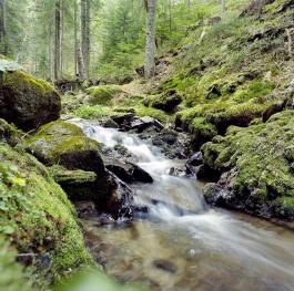 Spüren Sie die Natur hautnah