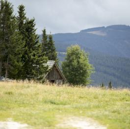 Wanderungen mit Familien