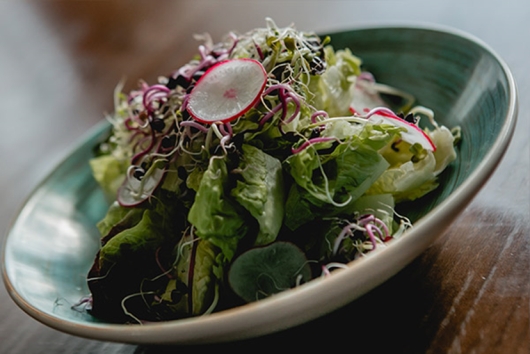 Salat Rezepte vom Küchenchef