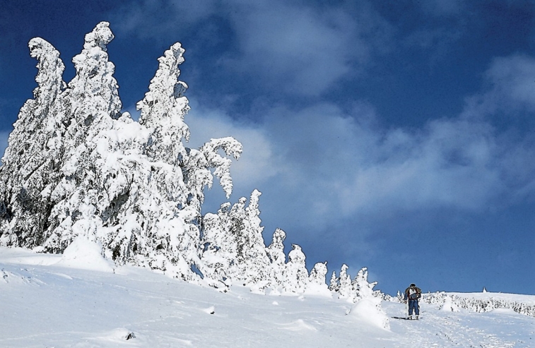 Mönichwalderhof, Advent, Joglland, Oststeiermark, Adventzeit, Weihnachten, Winterurlaub, Adventmärkte, Brauchtum, Vorweihnachtszeit, besinnlicher Urlaub, Winterstimmung, Weihnachtszauber, Hotel im Advent, Advent in der Steiermark, Weihnachtszeit genießen, Adventurlaub, Lichterglanz, Winterromantik, Urlaub im Dezember