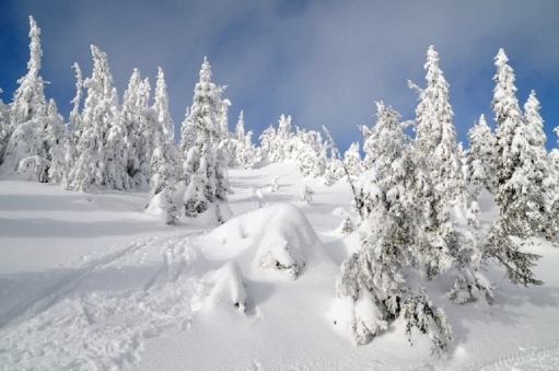 Winter, Winteruralub, Uralub im Winter, Urlaub in der Steiermark, Urlaub im Joglland, Pasuchalangebote im Winter, Winterangebote, Urlaub mit der Familie, Skifahren, Langlaufen, Winterwadnern, Schneeschuwandern