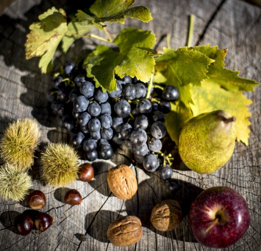 Pauschalangebote im Herbst, Pauschalangebote für 3 Nächte, Pasuchalangebote, Hotel mit Angebote, Herbsttage, Natur im Joglland