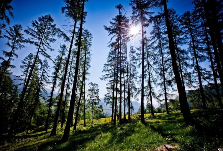 Ausflugsziele in der Steiermark, Ausflugsziele in der Oststeiermark, Ausflugsziele