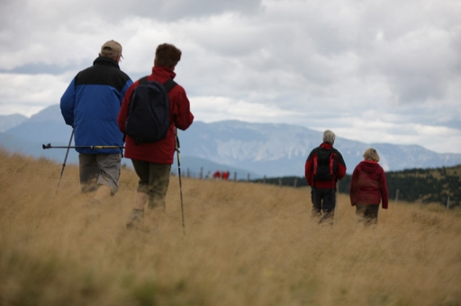 Mönichwalderhof, Ausflugsziele, Oststeiermark, Joglland, Sehenswürdigkeiten, Tagesausflüge, Naturerlebnisse, Kultur entdecken, Urlaub in der Steiermark, Ausflugstipps, Ausflugsregion, Freizeitgestaltung, Familienausflug, Natur und Kultur, Aktivurlaub, Hotel als Ausgangspunkt, Erlebnisse rund ums Hotel, Steiermark entdecken, Urlaubsort mit Ausflügen, Umgebung erleben