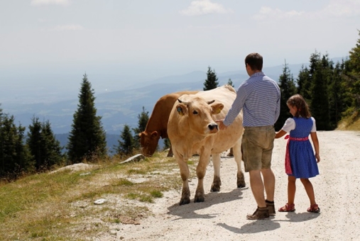 Familien, Wandern im Joggland, 