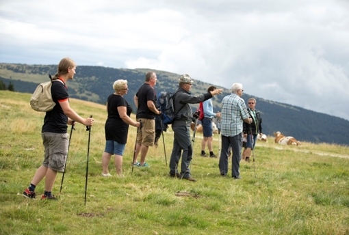Mönichwalderhof, Urlaub mit Hund, Steiermark, hundefreundlich, Hotel mit Hund erlaubt, Hunde willkommen, Wandern mit Hund, Urlaub in der Natur, Oststeiermark, Ferien mit Hund, Urlaub für Hundebesitzer, Hundeurlaub Österreich, Gassiwege, Hotel mit Hundeservice, tierfreundlicher Urlaub, Hund und Herrchen, Hundehotel Steiermark, Aktivurlaub mit Hund, Haustiere erlaubt