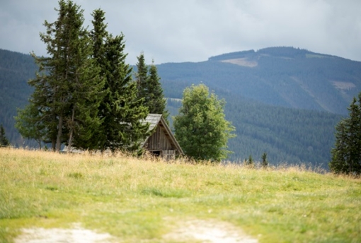 Mönichwalderhof, Urlaub mit Hund, Steiermark, hundefreundlich, Hotel mit Hund erlaubt, Hunde willkommen, Wandern mit Hund, Urlaub in der Natur, Oststeiermark, Ferien mit Hund, Urlaub für Hundebesitzer, Hundeurlaub Österreich, Gassiwege, Hotel mit Hundeservice, tierfreundlicher Urlaub, Hund und Herrchen, Hundehotel Steiermark, Aktivurlaub mit Hund, Haustiere erlaubt