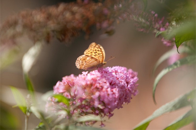 Perfekter Partner f&uuml;r die Gruppenrise, Landhotel M&Ouml;nichwalderhof, Smeianrr&auml;ume, Hotel f&uuml;r Gruppenreisen, Hotel f&uuml;r REisegruppe, Hotel f&uuml;&uuml;r Pensionisten